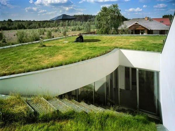 House underground futuristic organic design