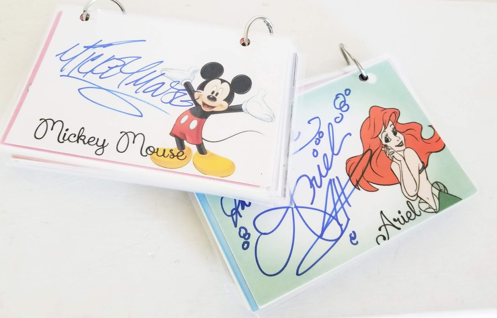 diy-disney-autograph-book-and-printables-sew-simple-home