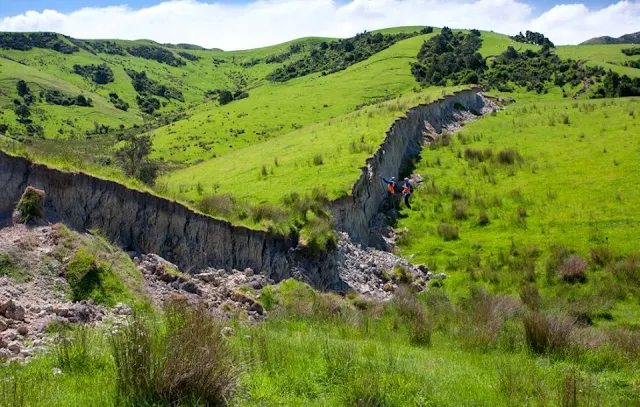 New Zealand Earthquake Was So Strong It Lifted Sea Floor 2 Meters