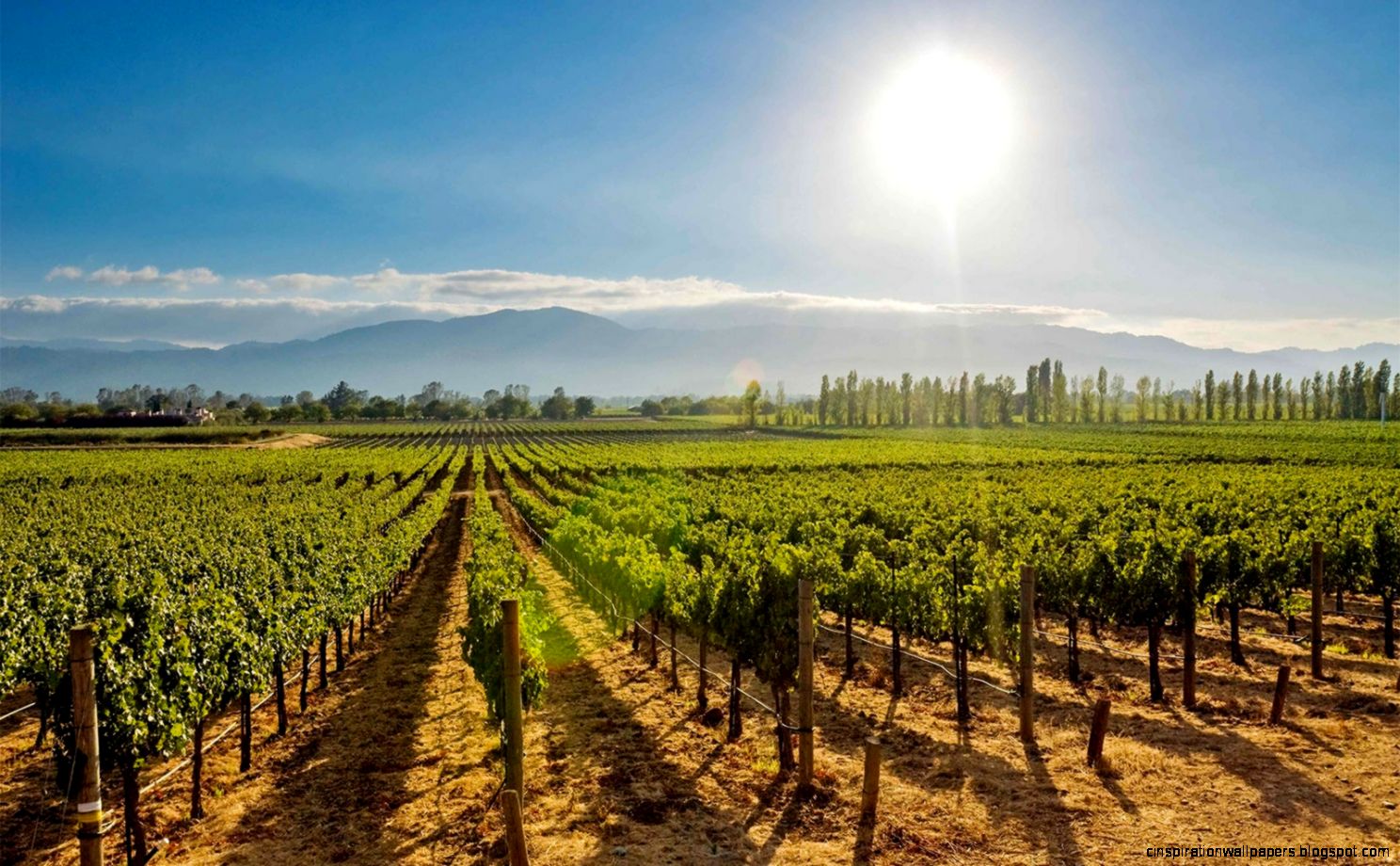 Napa Valley Travel Guide  Travel  Leisure