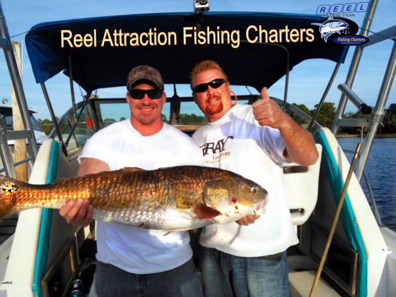 Gulf Shores Fishing Reports
