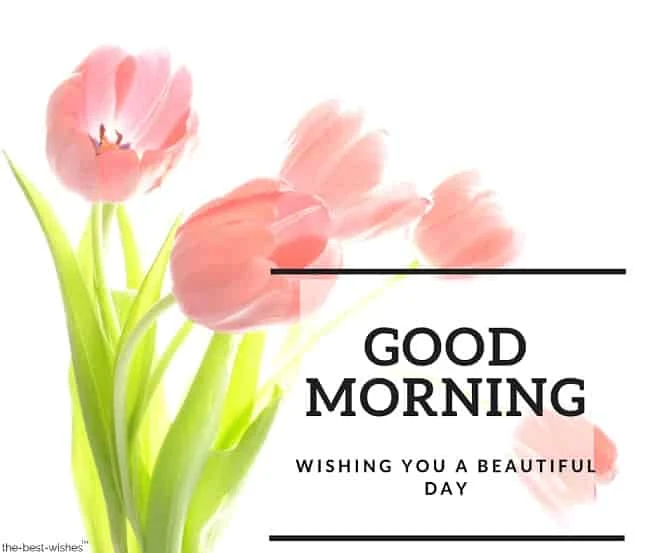 good morning images with pink flowers