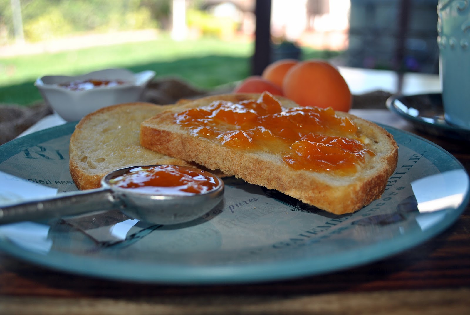 easy homemade refrigerator apricot jam