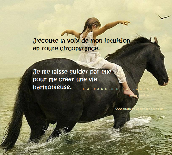 Les Panneaux Roses Citation Sur L Intuition