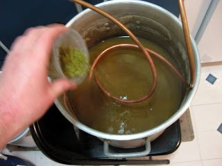 The final dose of hops going in, just as I started chilling.