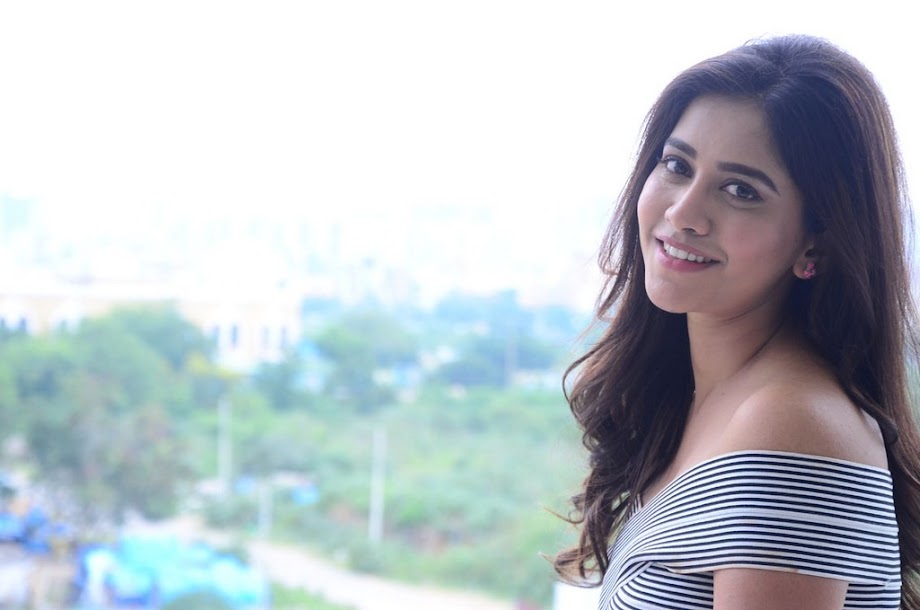 Nabha Natesh at Nannu Dochukunduvate Interview