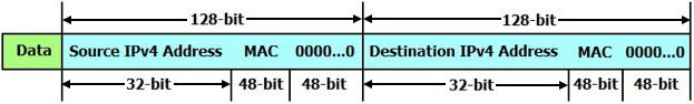 Internet Protocol version 10 (IPv10).