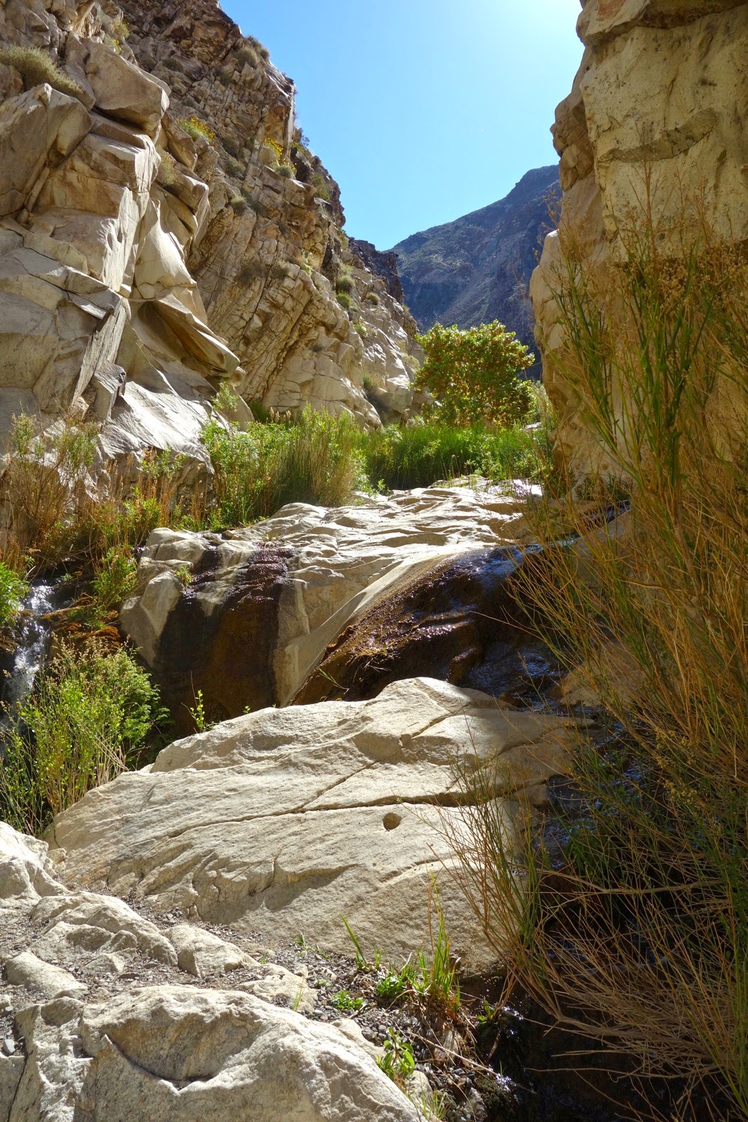 Earthline The American West Death Valley Surprise Canyon to Panamint