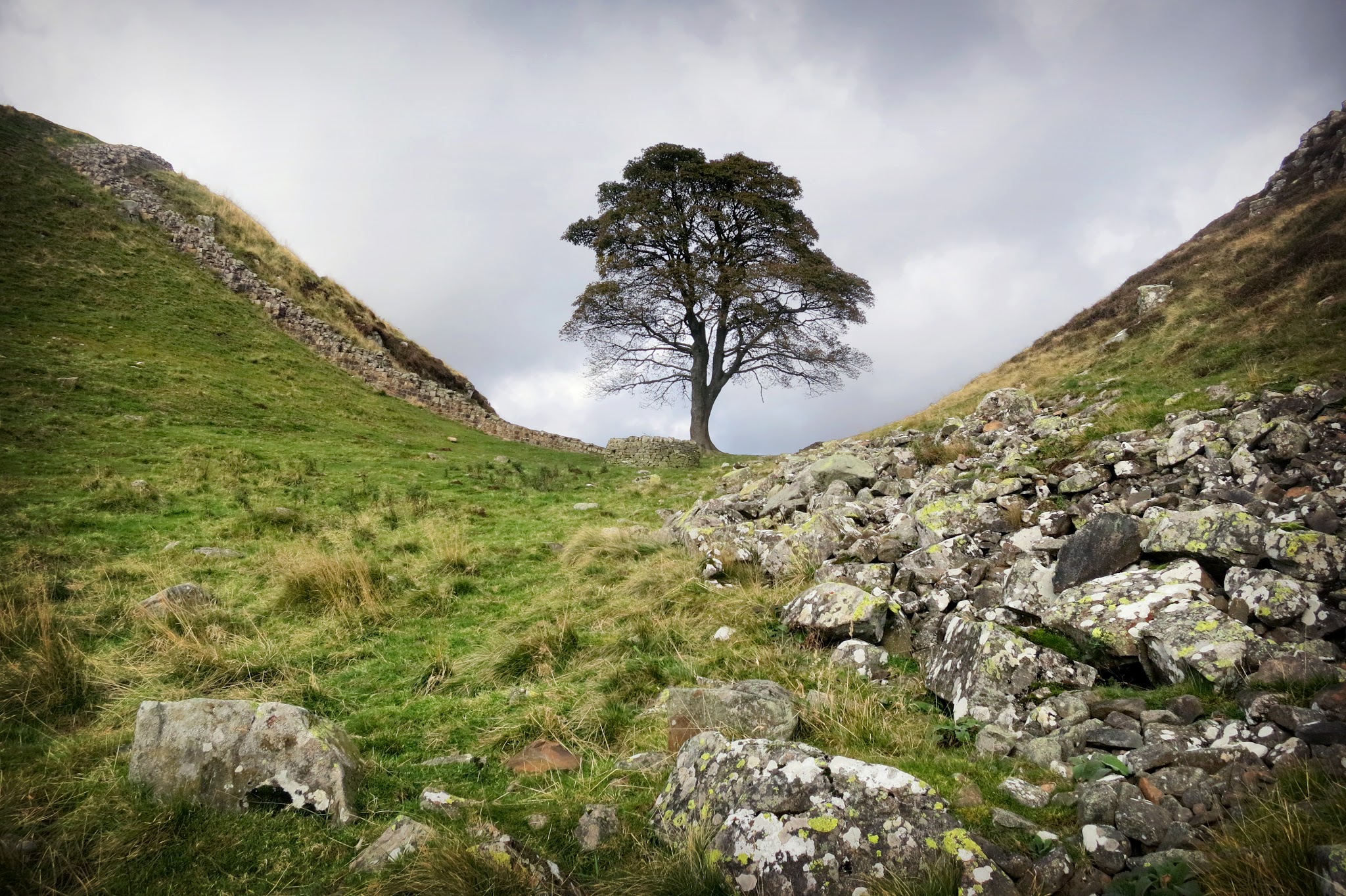 Sycamore Gap on Hadrian's Wall walk, best view