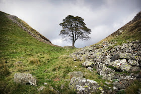 Sycamore Gap on Hadrian's Wall walk, best view