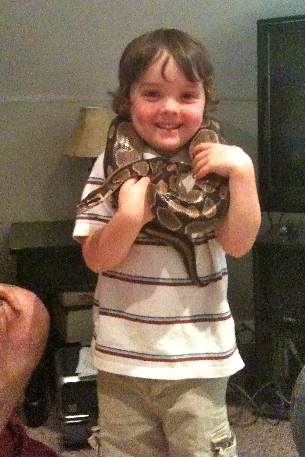 Tending the Home Fires The Snake Man