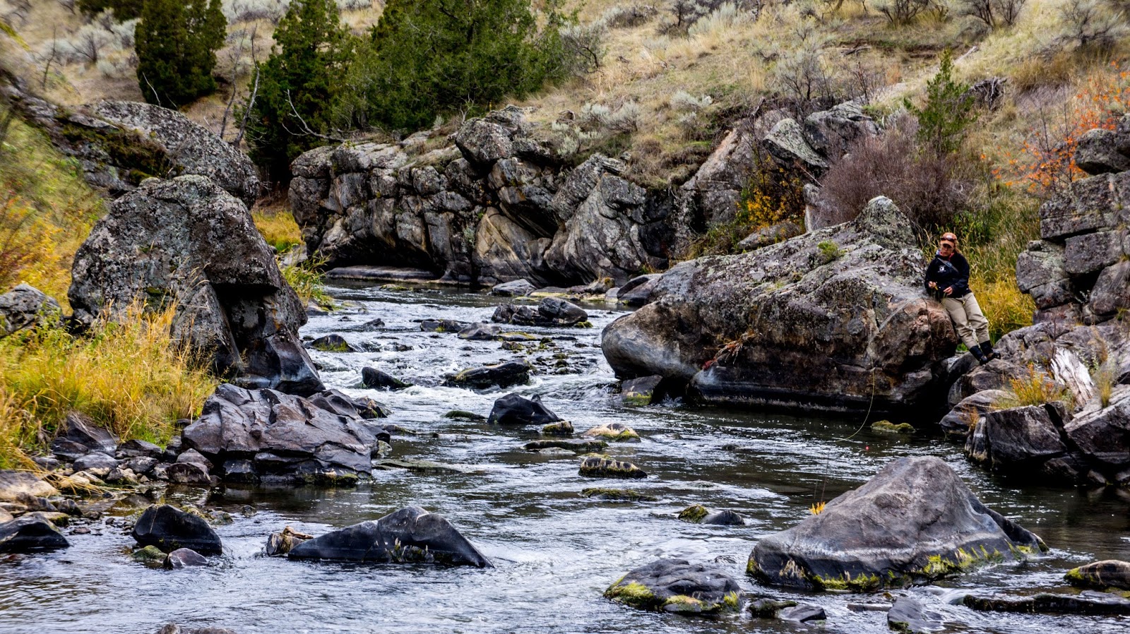Troutbugs Open year round?