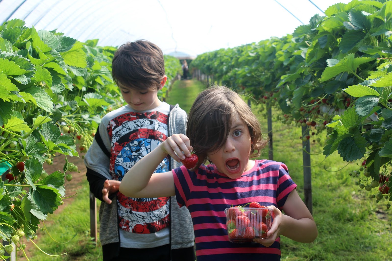 Belhaven Fruit Farm Lets Go Somewhere Nice