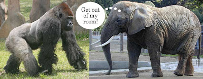 Photos of a gorilla and an elephant facing each other, with the elephant thinking Get out of my room!