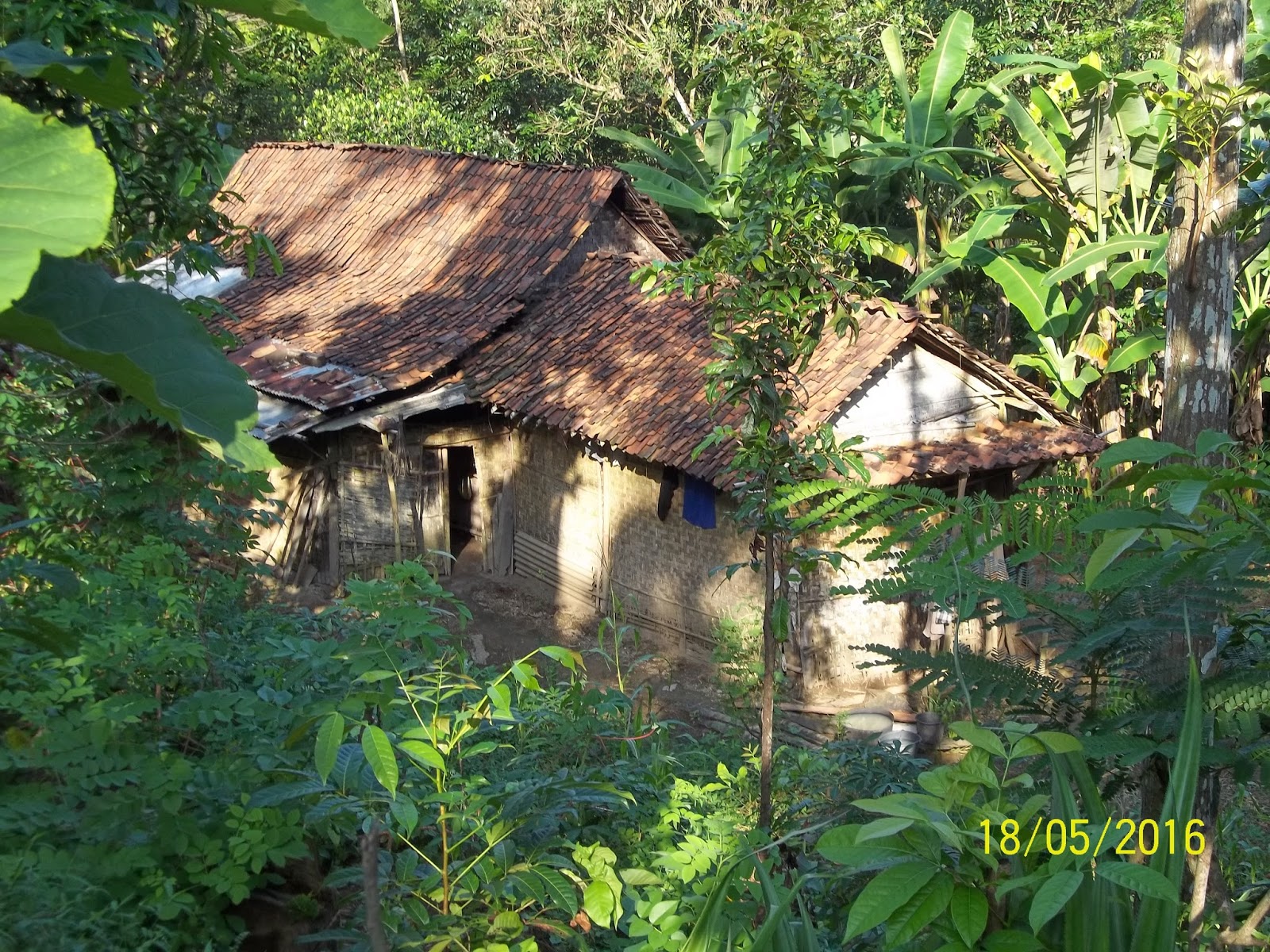  Rumah  Mengenaskan Di  Tengah Hutan  Sisehat