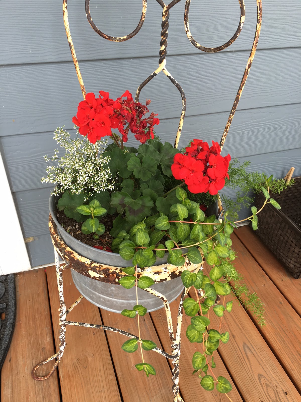 Top Ten Flowers for Summer Color Our Good Life