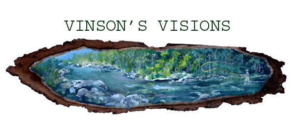 Vinson's Visions