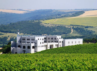 Bulgarian Vineyard