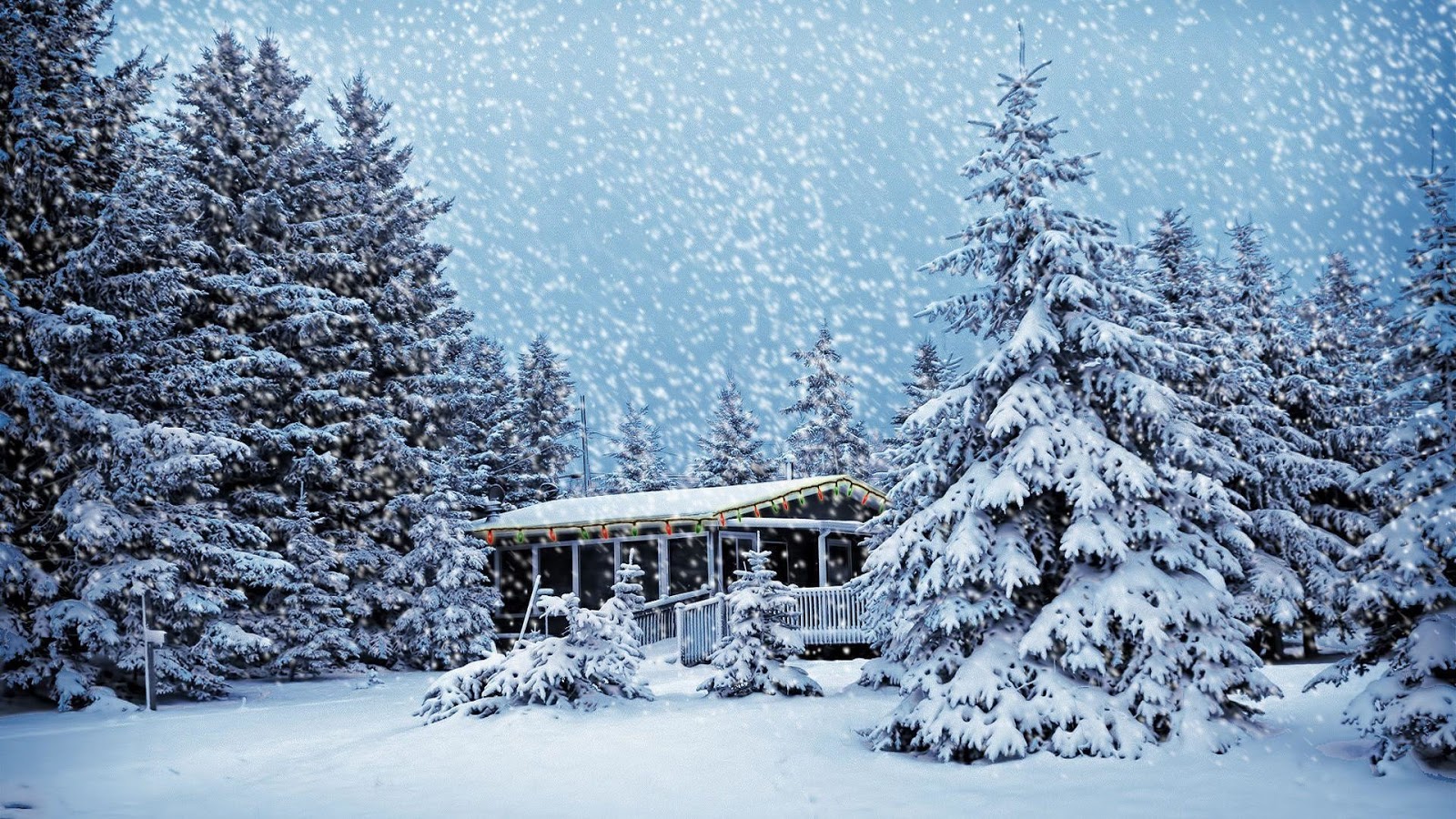 57 christmas winter scenes wallpaper wallpaper carax