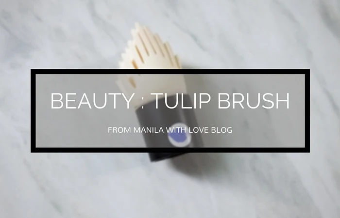 tulip_sponge_tulip_brush_review_how_to_use_tulip_sponge_brush_korean_tools_purpletags