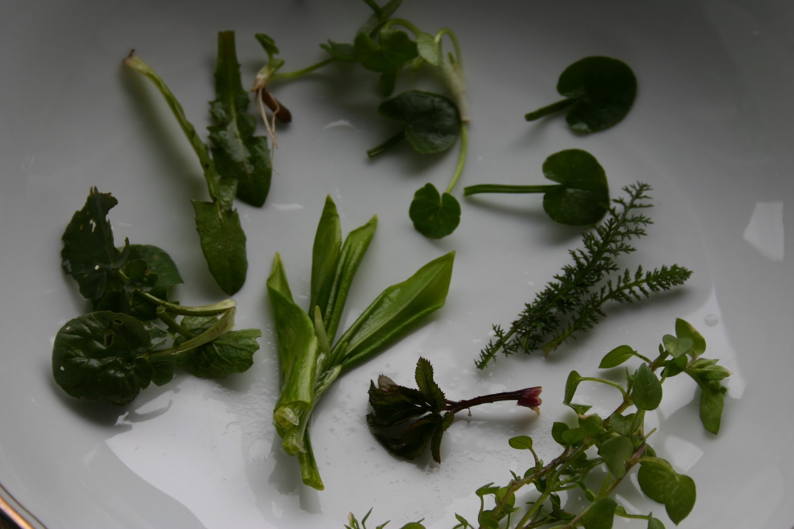 Tschuss Juli 2019 Ganz Schon Satt Arthurs Tochter Kocht