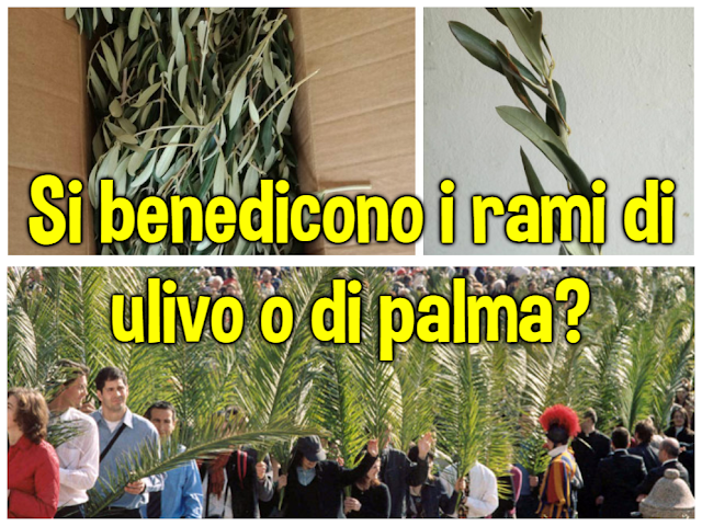 Quando Si Bruciano Le Palme Benedette