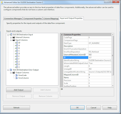 SSIS - Input and Output Properties