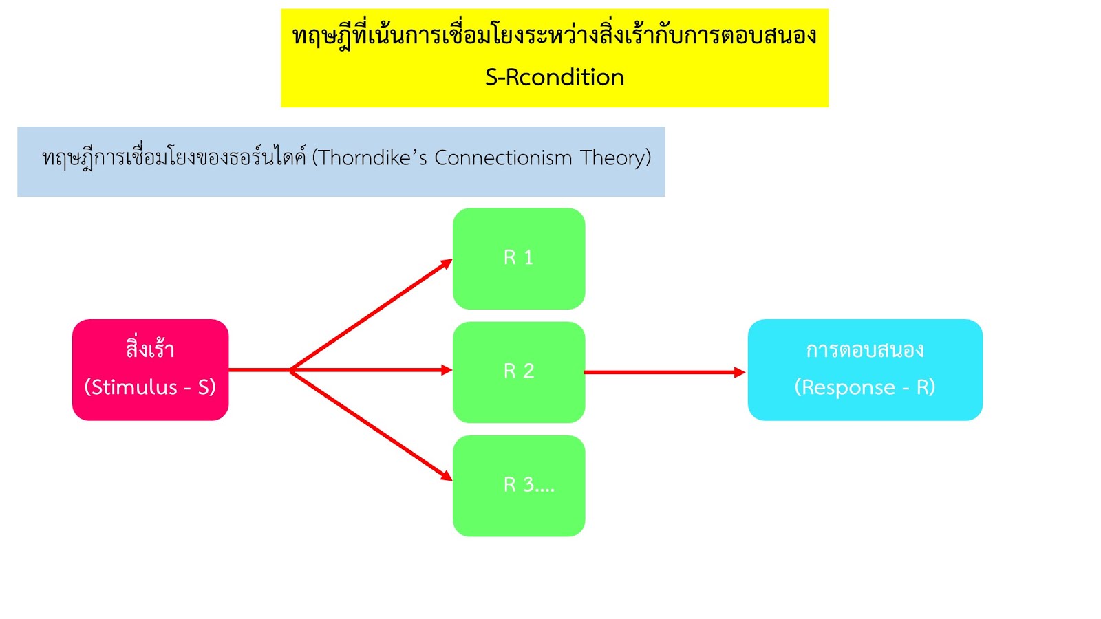ทฤษฎีการเชื่อมโยงของธอร์นไดค์ (Thorndike’s Connectionism Theory)