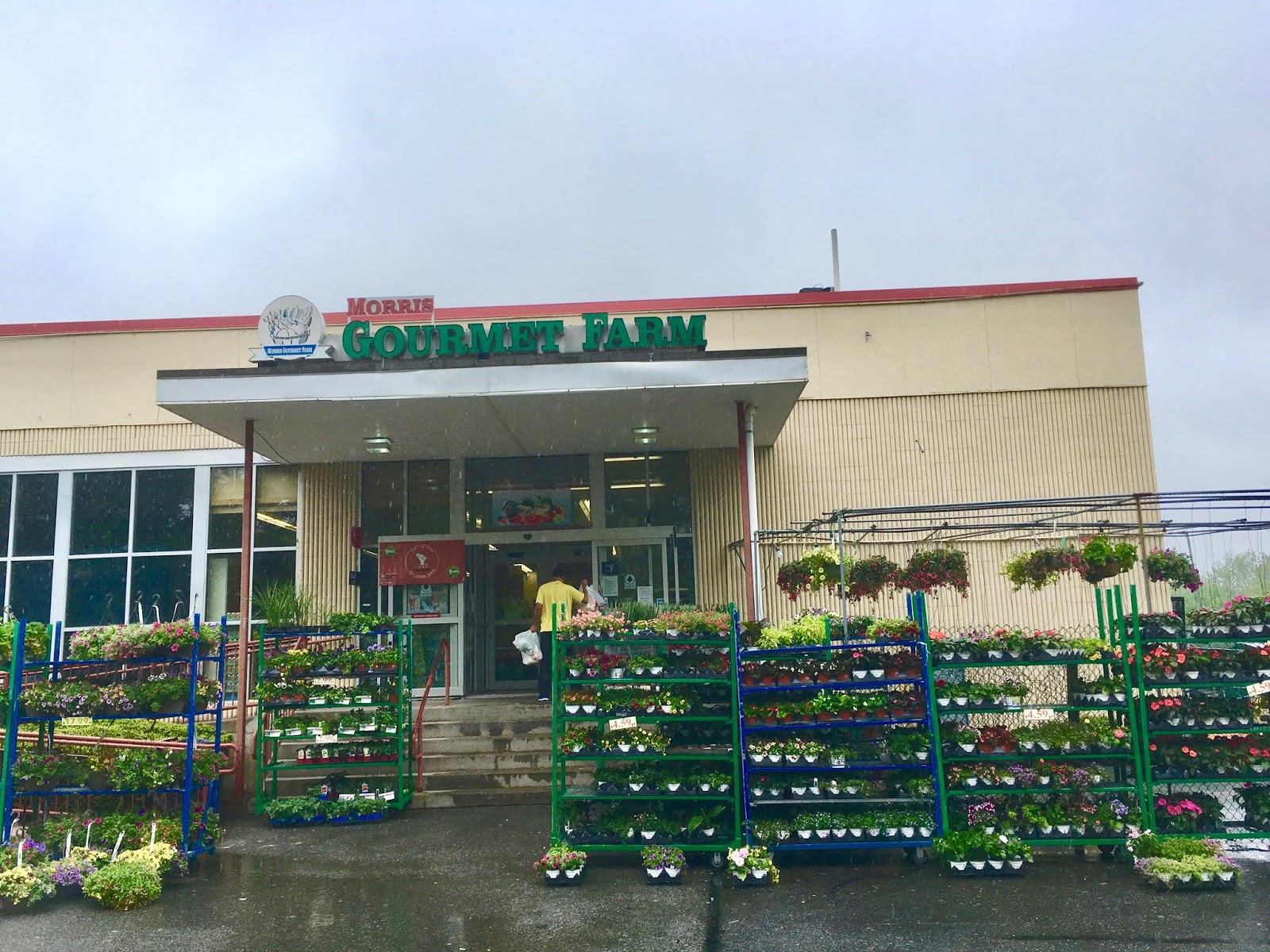 TOUR Former ShopRite / Morris Gourmet Farm Morristown, NJ