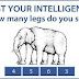 Test your intelligence! Lets go!!