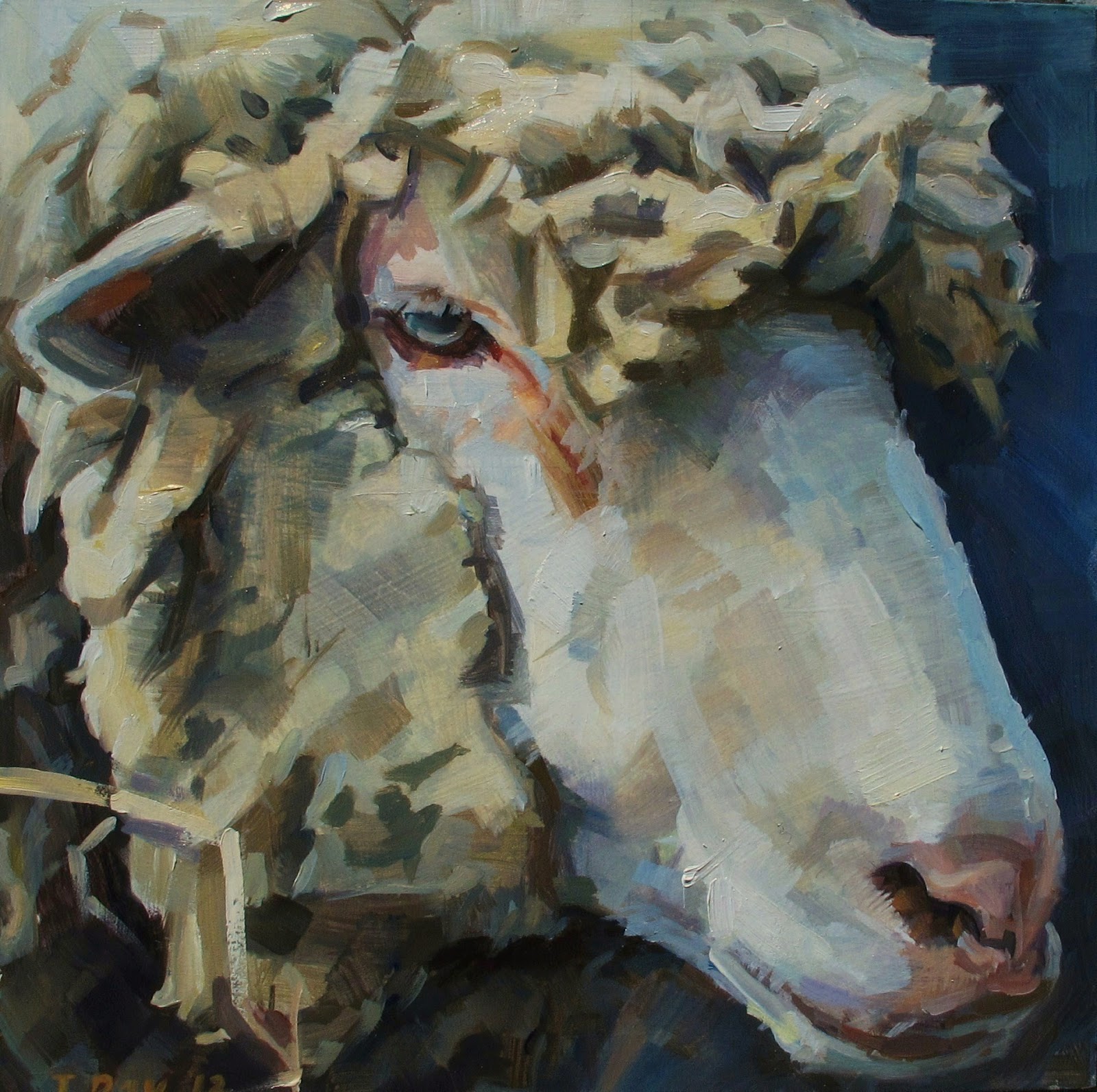 Awake and Painting Sheep