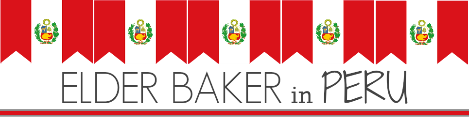 Elder Baker in Peru