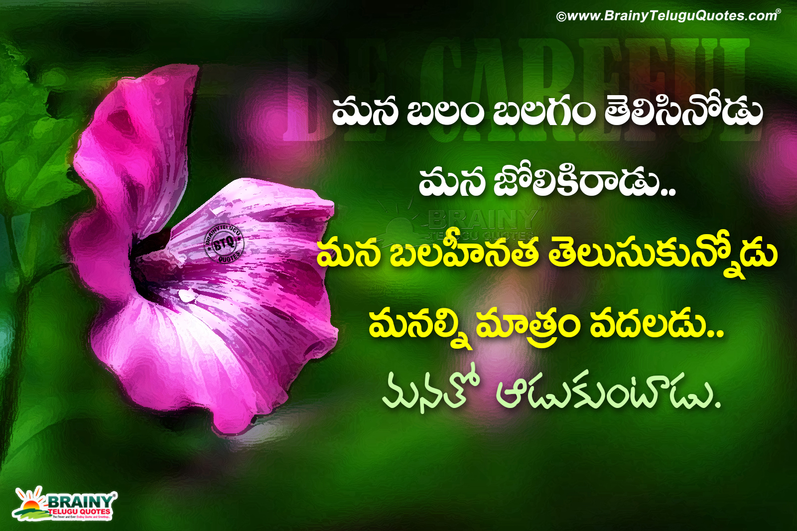 Featured image of post Life Changing Powerful Life Quotes In Telugu