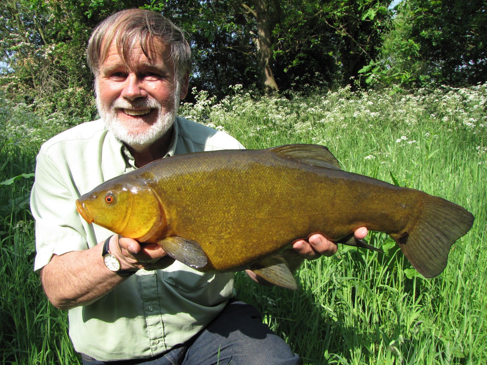 Travelling Man The World Of A Tench Fisher travelling-man-the-world-of-a-tench-fisher