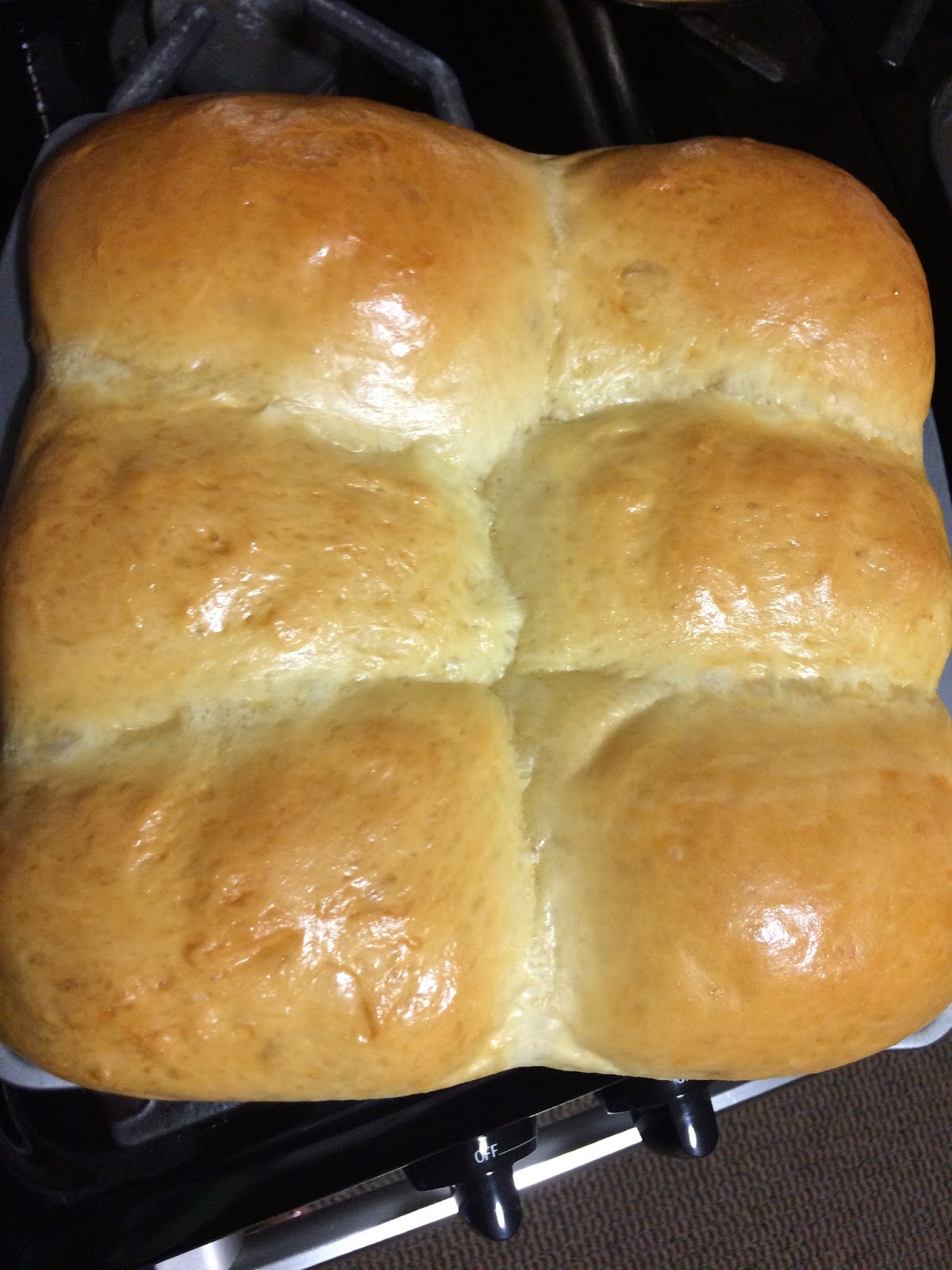 Proof Yeast In Milk payment proof 2020