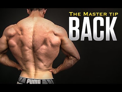 Muscle Guide: Basic Back Workouts For Mass