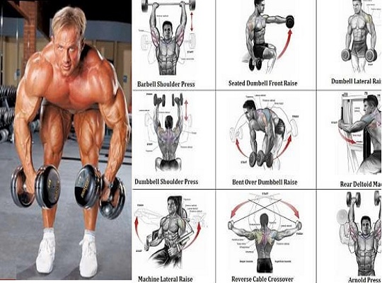 12 Best Dumbbell Exercises For Shoulders Www bodybuilding110