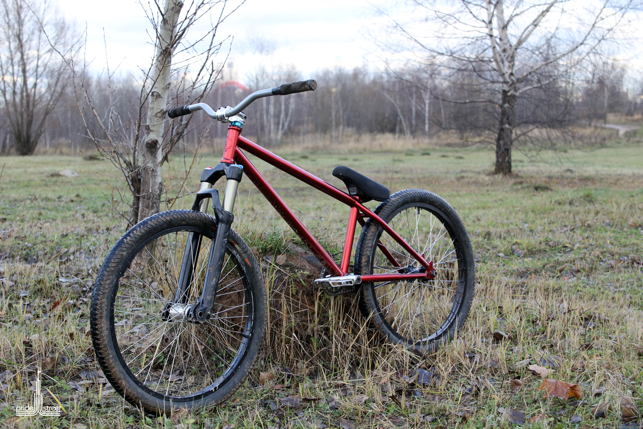 MTB Pride Street main frame 24