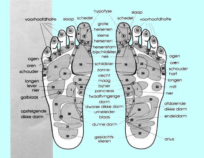 voetreflexiologie