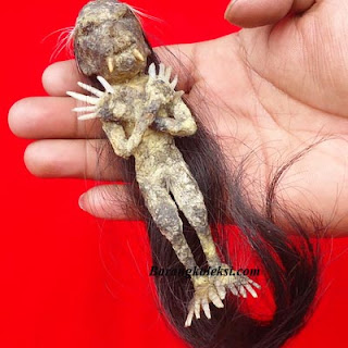 Jenglot Raja Jin Jenglot Raja Jin, kegunaan jenglot atau batara karang, harga jenglot asli, cara menangkap jenglot, manfaat memelihara jenglot, bahaya memelihara jenglot, perbedaan jenglot dan batara karang, batara karang vs jenglot, cara menghidupkan jenglot