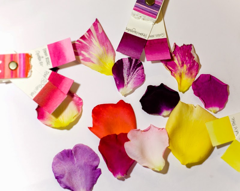 Eunike Nugroho: Rose Petals: Playing with New Colours