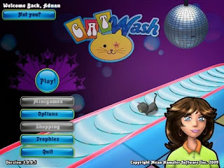 Cat Wash PC Game Free Download