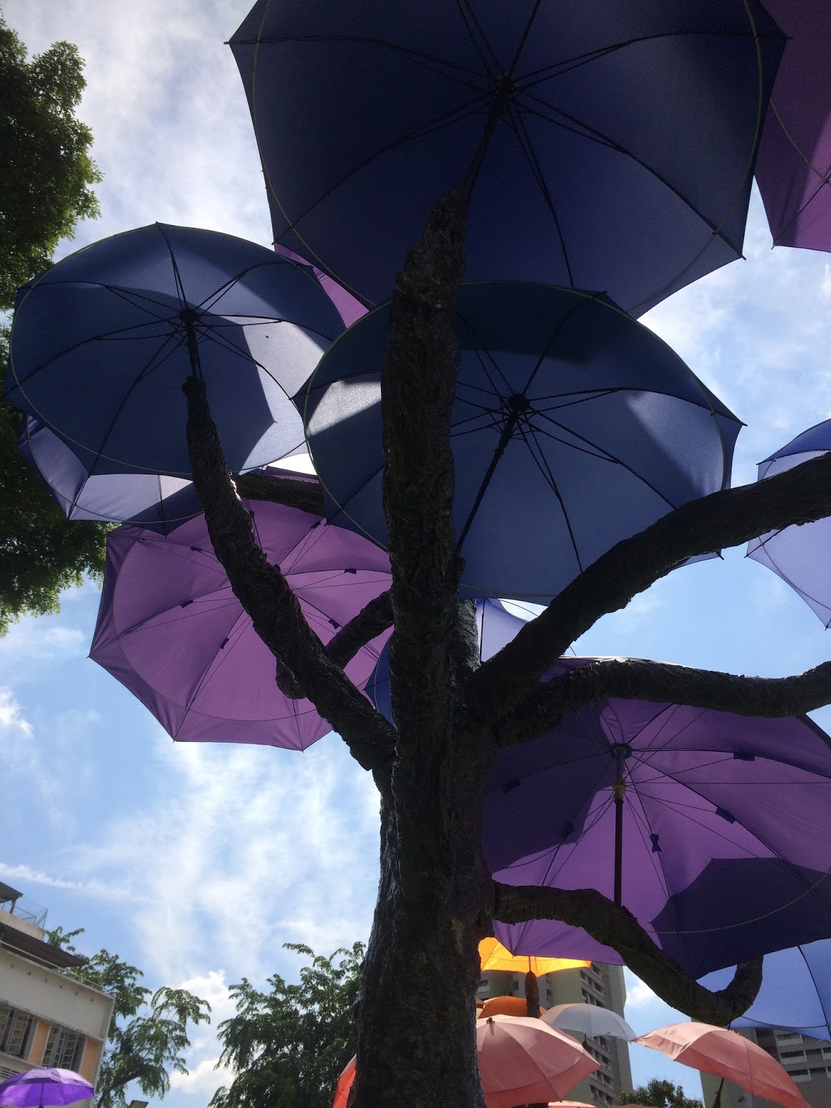 Umbrella Trees Hindoo Road Little India; Singapore Moonlit