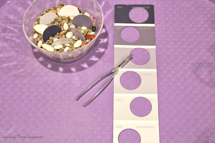 Paint Chip Color Matching Puzzle School Time Snippets