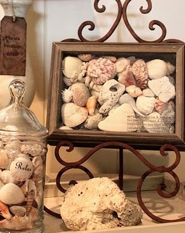 7 Creative Ways to Display Seashells - Living Porpoisefully