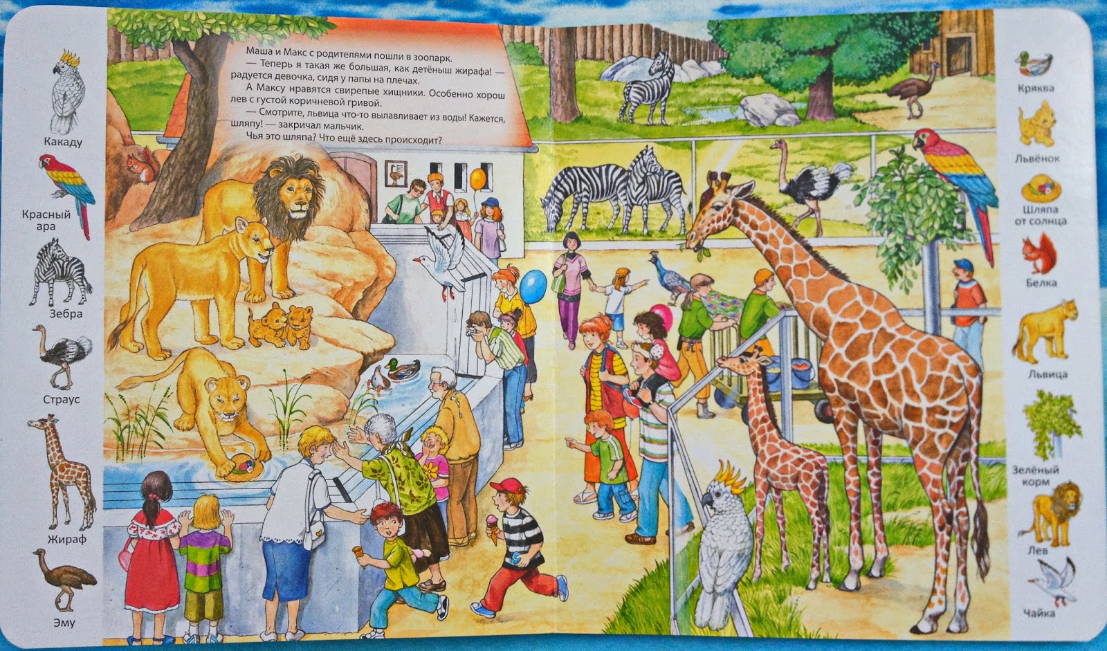 Чтение зоопарк. Виммельбух зоопарк. Зоопарк для дошкольников. Зоопарк рисунок. Дети в зоопарке.