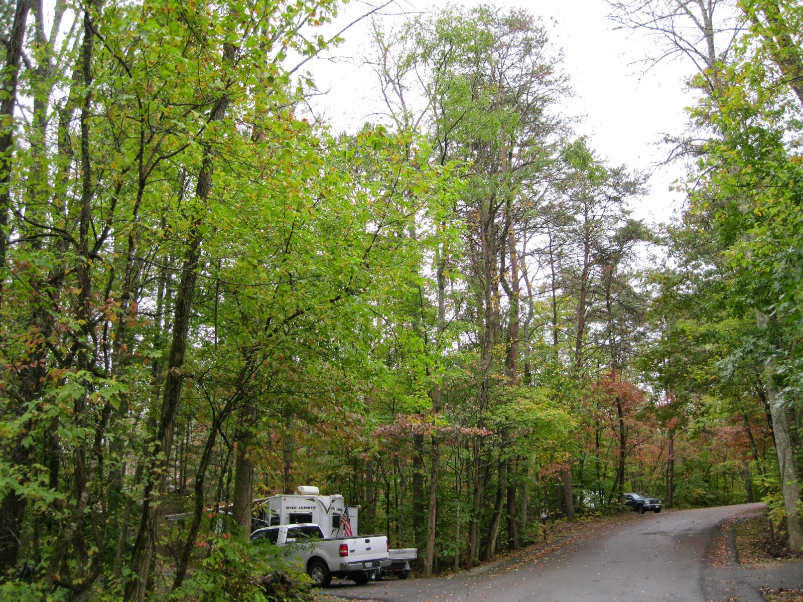Lee County Virginia: Stop # 22: Wilderness Road Campground and Picnic ...
