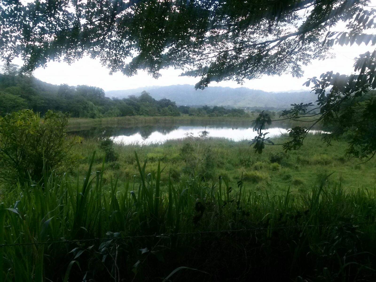 LA RUTA DEL TAÍNO EN RANCHO ARRIBA, OCOA EL MISTERIOSO OJO DE AGUA DE