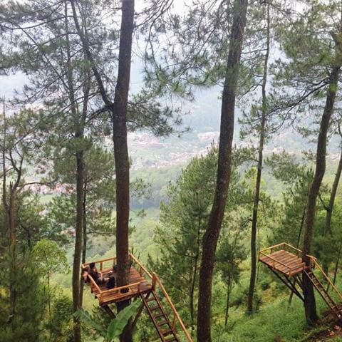 Omah Kayu Paralayang Wisata Hits Baru Di Kota Batu Wisatamalang Co