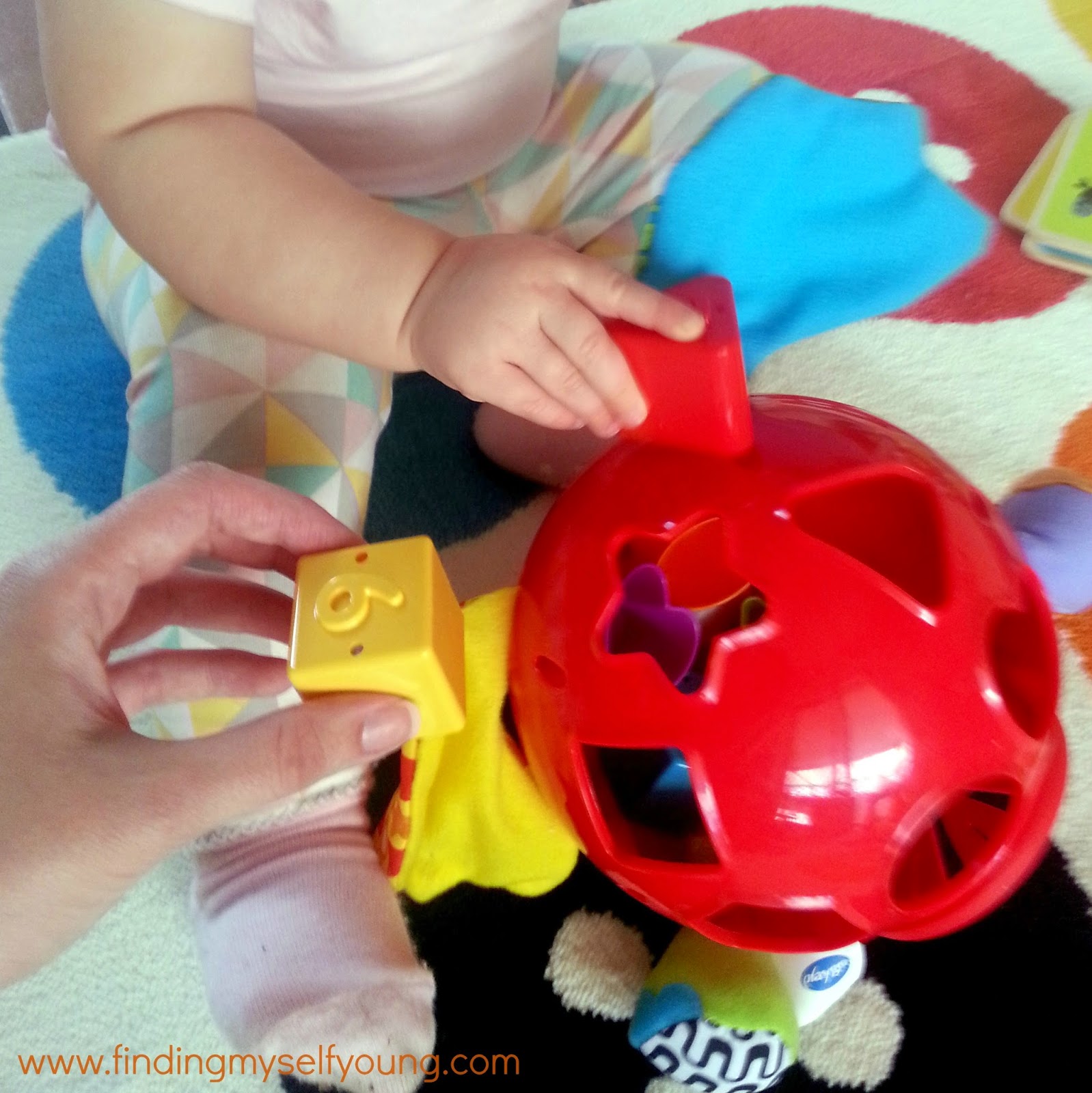 toy shapes into holes